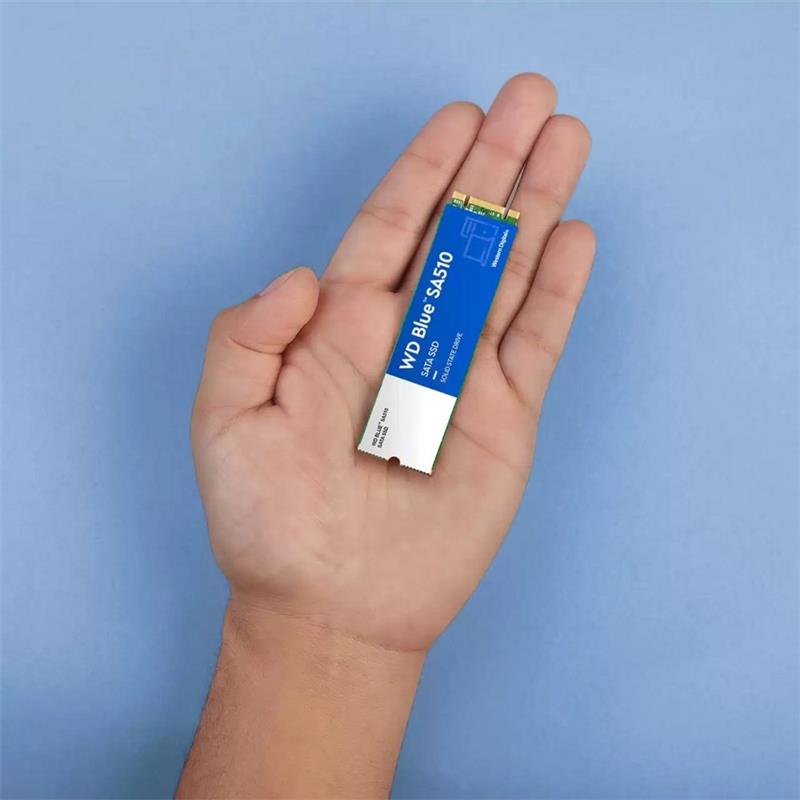 WD SSD M.2 (2280) 1TB Blue SATA3 (Di)
